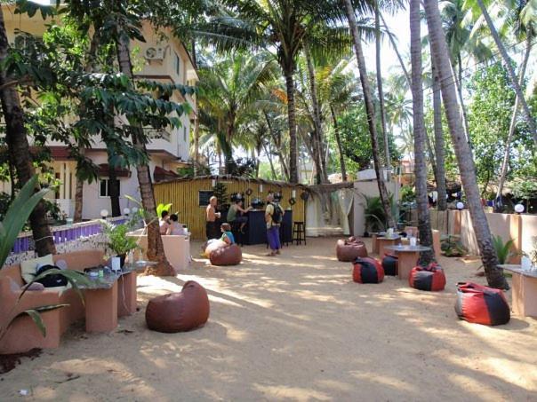Little Nest Hotel Mandrem Exterior photo